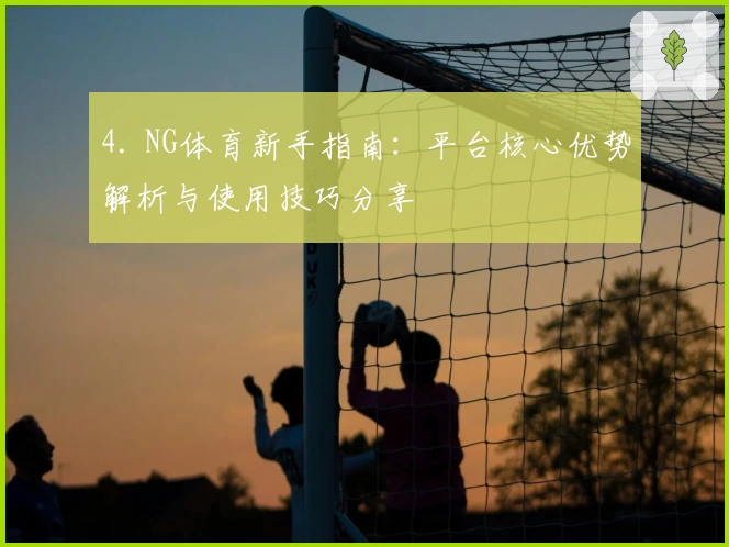 4. NG体育新手指南：平台核心优势解析与使用技巧分享